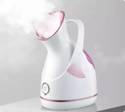 Handheld Nano Face Spray Electric Hot Mist Facial Steamer