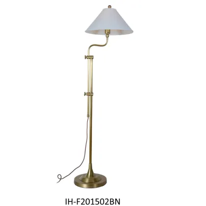 Decorative Floor Lamp Standing Lighting" could be shortened and refined to:

"Stylish Standing Decorative Floor Lamp