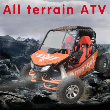 Brothers Go Kart Cool Atv Car For Adults