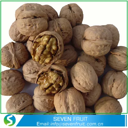 In Shell And Shelled Chandler Walnuts