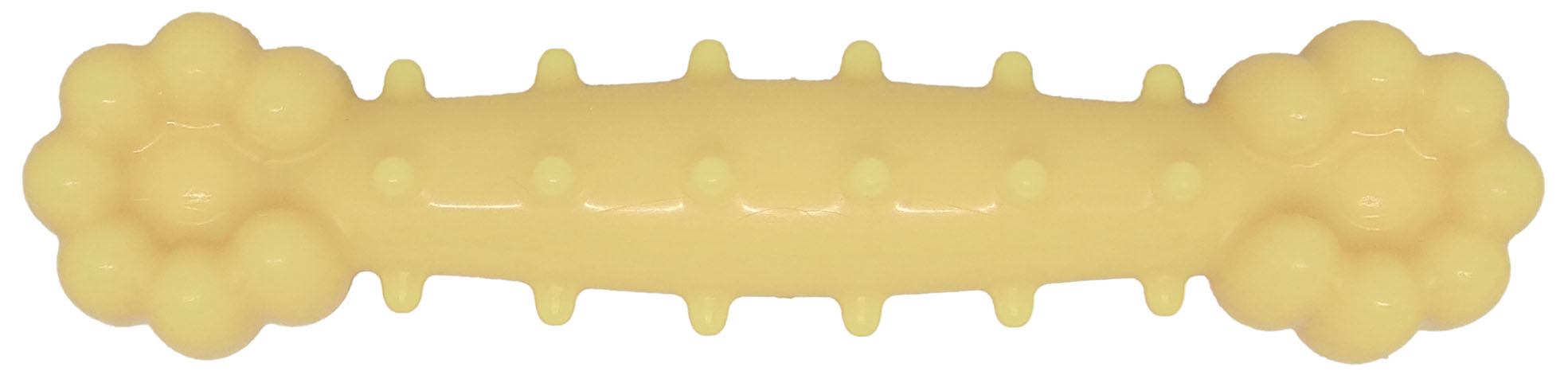 corn chowder scented nylon chew bone top