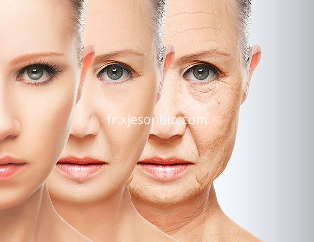 The anti-aging effect