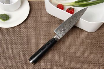 Eco Friendly set knife with case