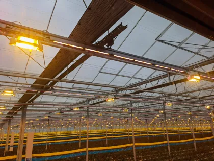 Plant LED Supplemental Lighting System