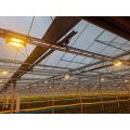 سیستم روشنایی تکمیلی LED گیاهی