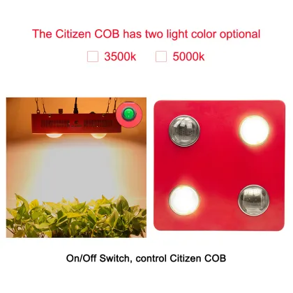 Dimmable Bridgelux led grow lights , citizen cob grow lights for indoor greenhouse