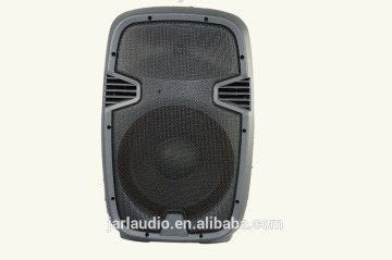 12" 2 way activy molded cabinet speaker