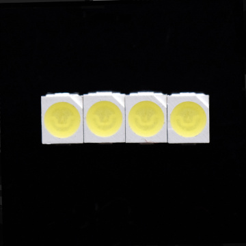 White LED - 3528 SMD LED 7000-8000K