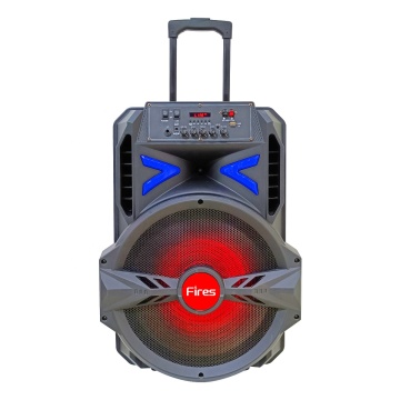 Wireless Portable Speakers: DJ Equipment and Professional Sound Systems