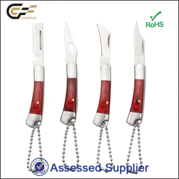 4 Mini Knife Set Souvenir Pocket knife with Color Wood Handle for Collection