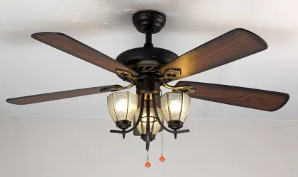 Fans Ceiling Lights