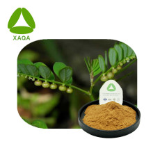 Pure Natural Phyllanthus Urinaria Extract Powder 10:1