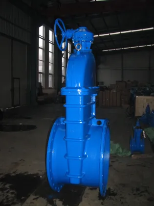 DN800 Soft Seal Gate Valve