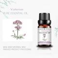 100% Pure Natural Food Grade Valerian Essential Oil Good Price