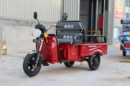Mobility Electric Vehicle Electric Tricycles