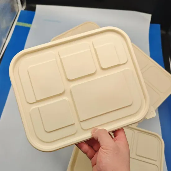 PLA corn biodegradable disposable lunch box