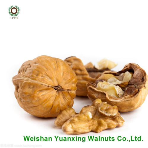 Walnut Kernels Light Pieces for sale