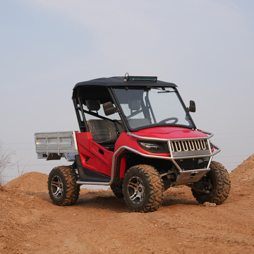VENDITA CALDA ELETTRICE ELETTRIC EVE-25-01-4x4 Electric UTV per adulti
