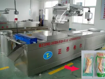 Big vacuum packing machine for keeping food fresh