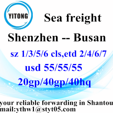 Shenzhen Global Ocean Freight Shipping Service to Busan