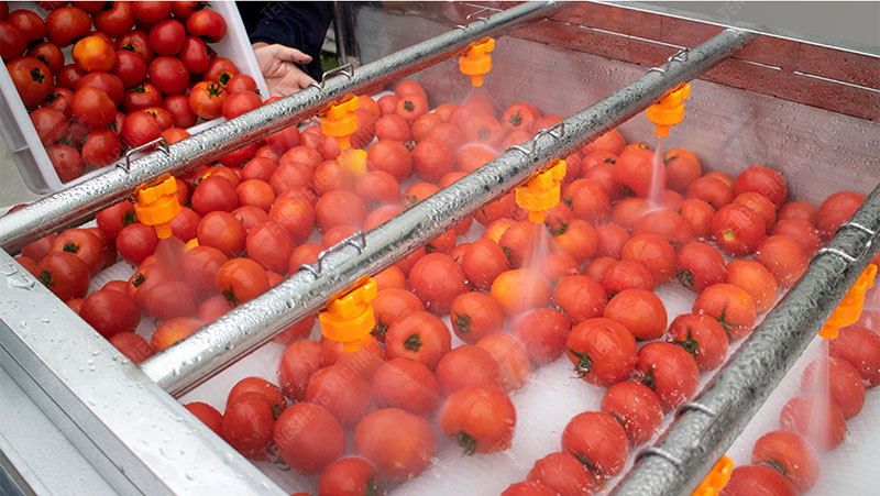 fruit and vegetable washing machine