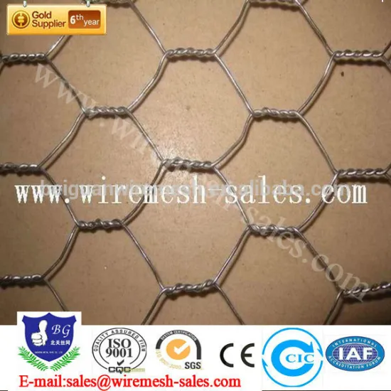 hexagonal wire mesh/ chicken wire mesh from China manufacturer