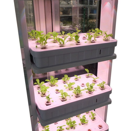 Sistemas hidropónicos de iluminación de cultivo vertical con control Bluetooth