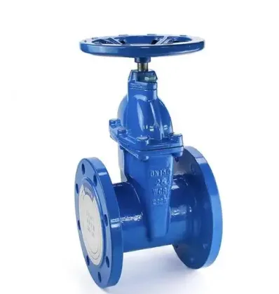 Globe Valves with Slanted Seat BR1200