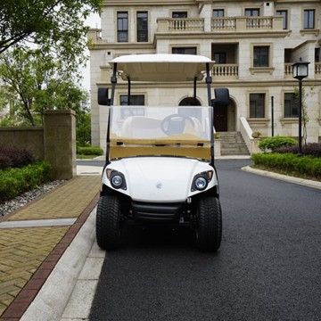 2021 2 sièges de conception moderne de voiturette de golf électrique