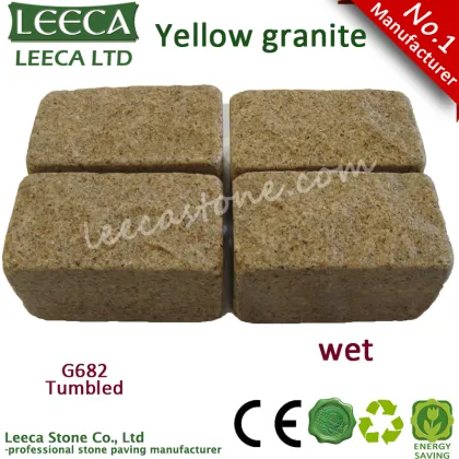 Red rose garden wall cultural stone