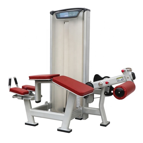Exercise equipment leg extension/curl gym machine