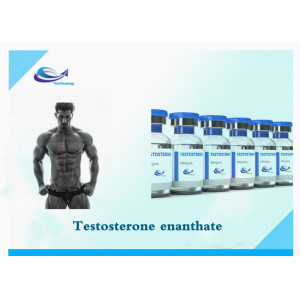 supply bulk stock Testosterone enanthate CAS 315-37-7