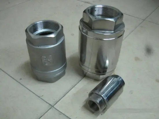 2Pc Spring Vertical stainless steel Check Valve