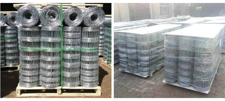 High tensile fixed-knot Deer wire fencing