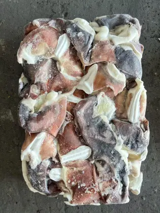 High-Quality Seafood: Peruvian Squid, Frozen Giant Squid Necks, Seafrozen Squid Neck Source