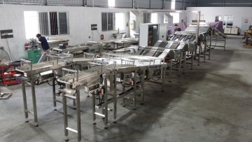 Automatic Feeding System For Biscuit Sandwcihing Machine