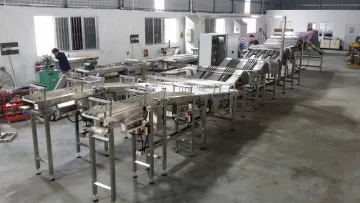 Automatic Feeding System For Biscuit Sandwcihing Machine