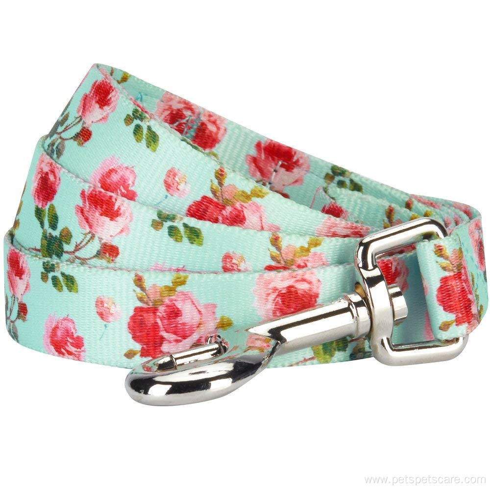 Dog Leash Print Turquoise Scent Inspired Floral Rose