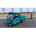 New electric passenger and cargo tricycle