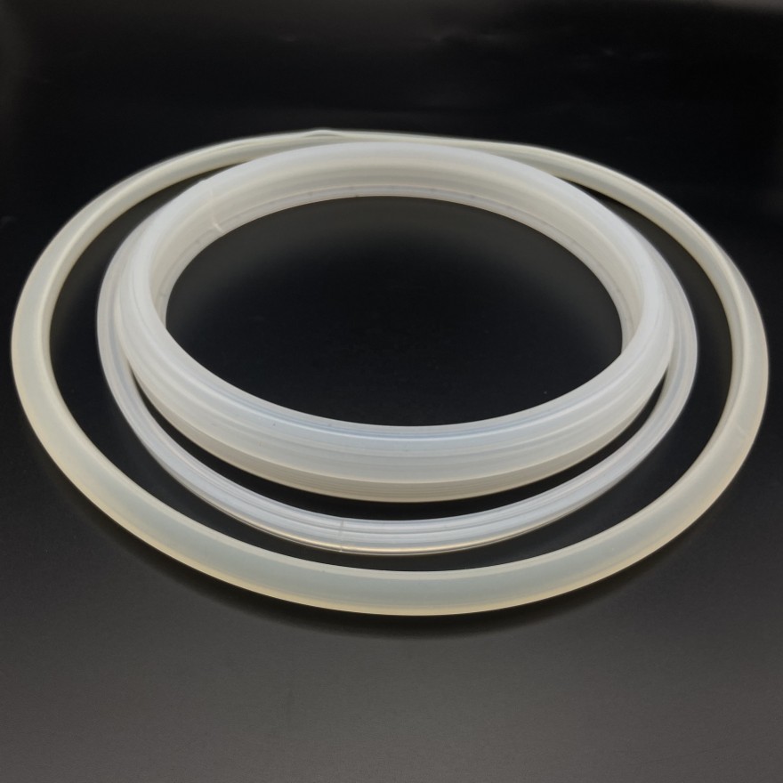 PCTFE seals4