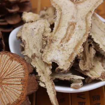 1014 Dang gui different specification Chinese Angelica root with GMP certification