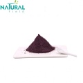 Improving immunity elderberry extract powder