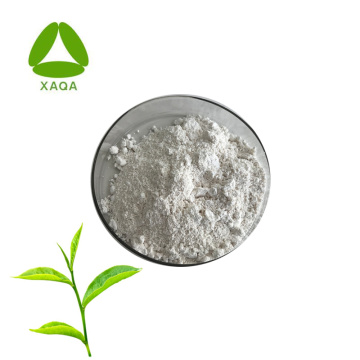 ISO90001 Natural Green Tea Extract EGCG 95% Powder