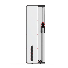 Single Side Wall Mounted Functional Trainer White Mirror