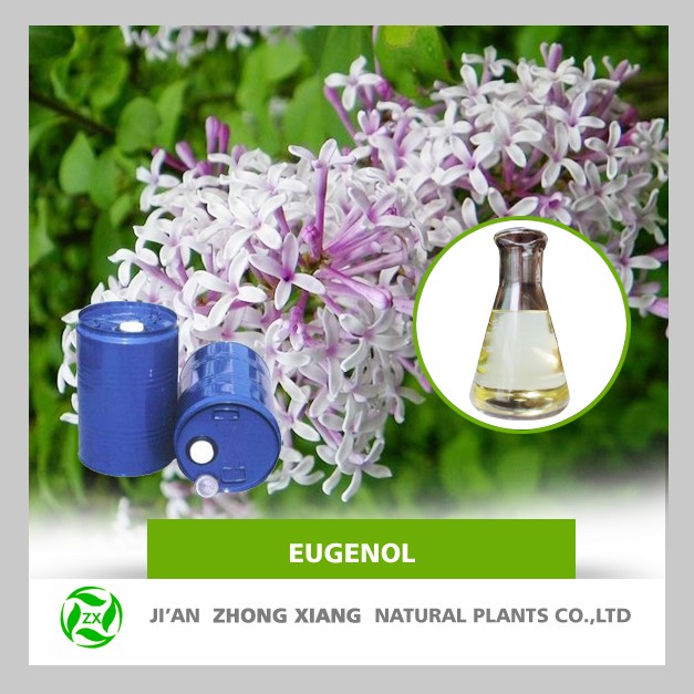 Wholesale eugenol oil 100% pure natural at bulk price