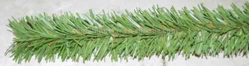 Pine Needles Tree Leaves