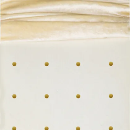 Sleep Better Slumber Fresh Polyester King Bed Pillow