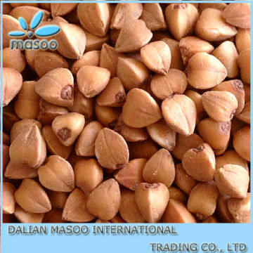 Buckwheat from Inner Mongolia Chifeng City Roasted Buckwheat
