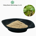 Natural Panax Notoginseng Saponins 60%