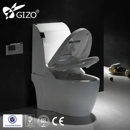 Intelligent water closet squat toilet